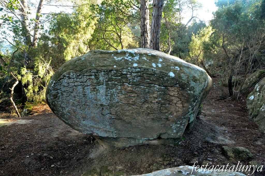 Roca del Vallès - Plat del Rei o del Molí