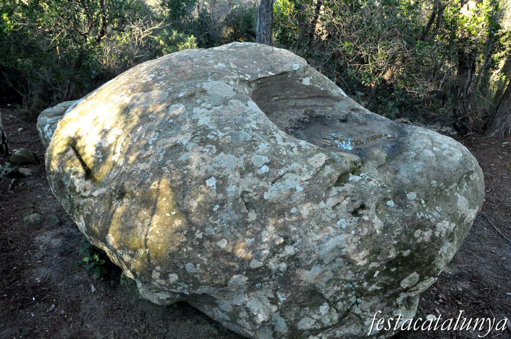 Plat del Rei o del Molí