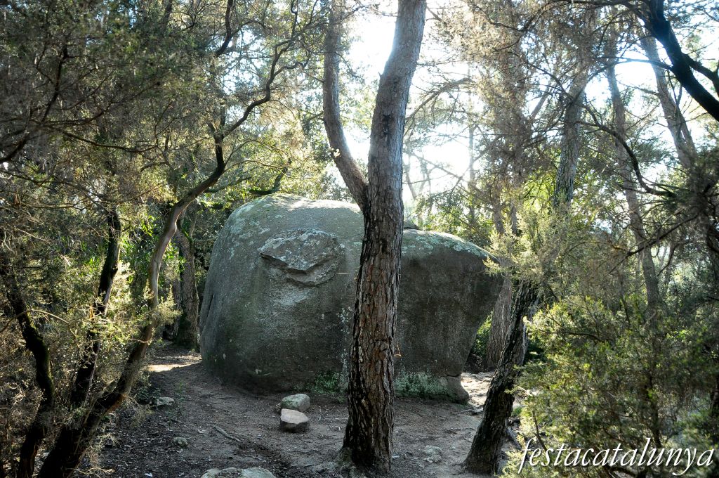 Roca del Vallès, La - Roca Foradada de can Gol