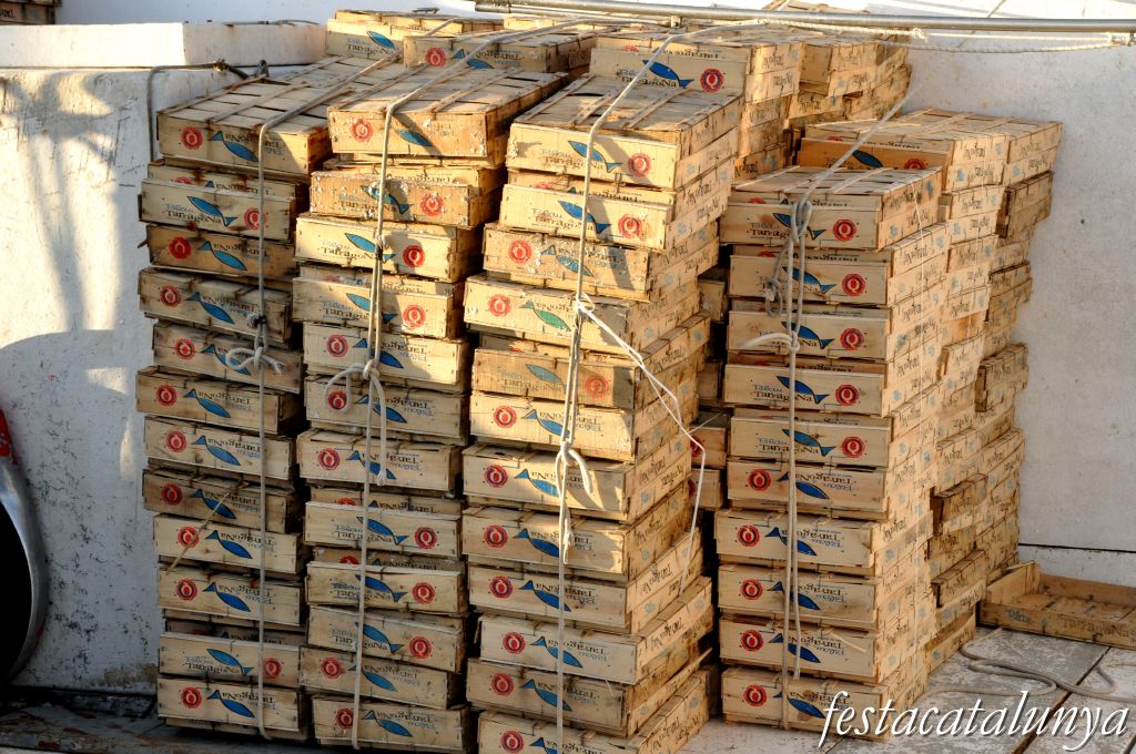 Ametlla de Mar, L' - Port de pesca