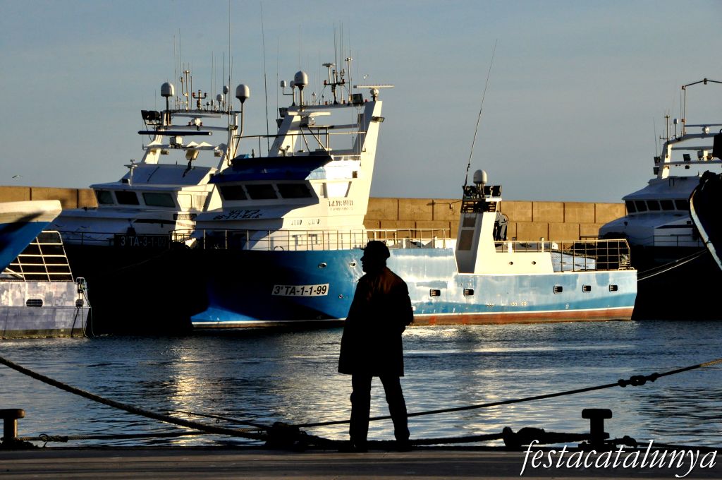 Ametlla de Mar, L' - Port de pesca