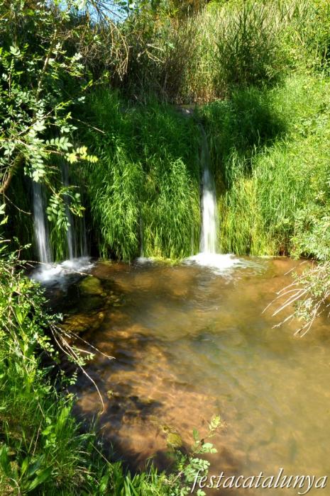 Orpí - Gorgs i pèlecs a la Riera de Carme
