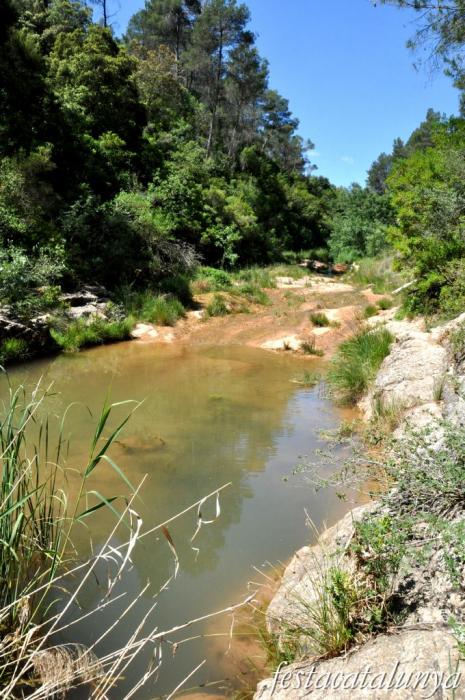 Orpí - Gorgs i pèlecs a la Riera de Carme
