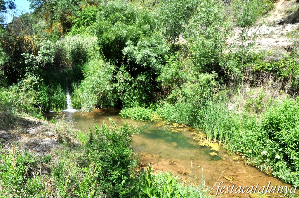 Orpí - Gorgs i pèlecs a la Riera de Carme