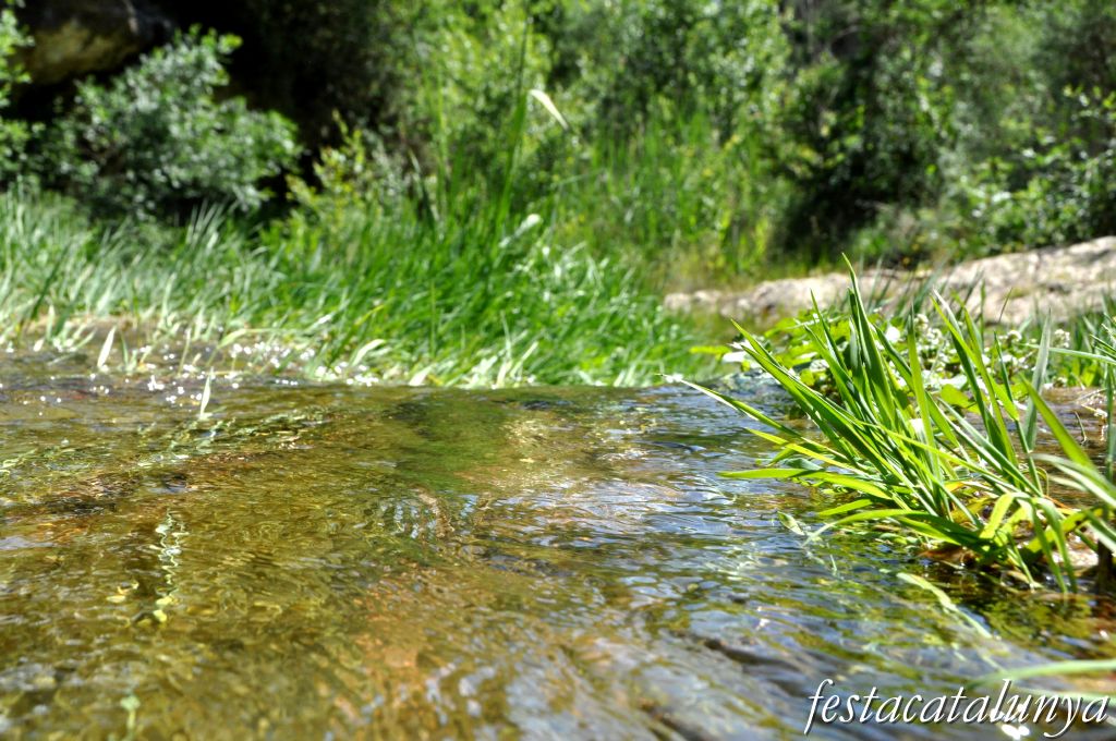 Orpí - Gorgs i pèlecs a la Riera de Carme