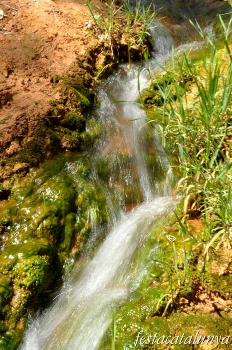 Orpí - Gorgs i pèlecs a la Riera de Carme