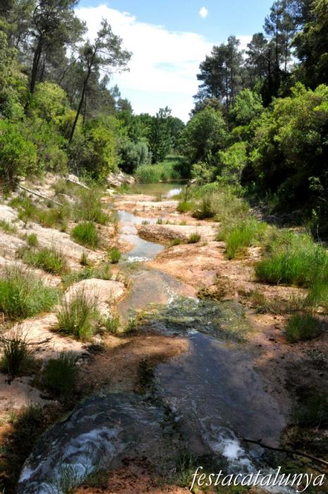 Orpí - Gorgs i pèlecs a la Riera de Carme