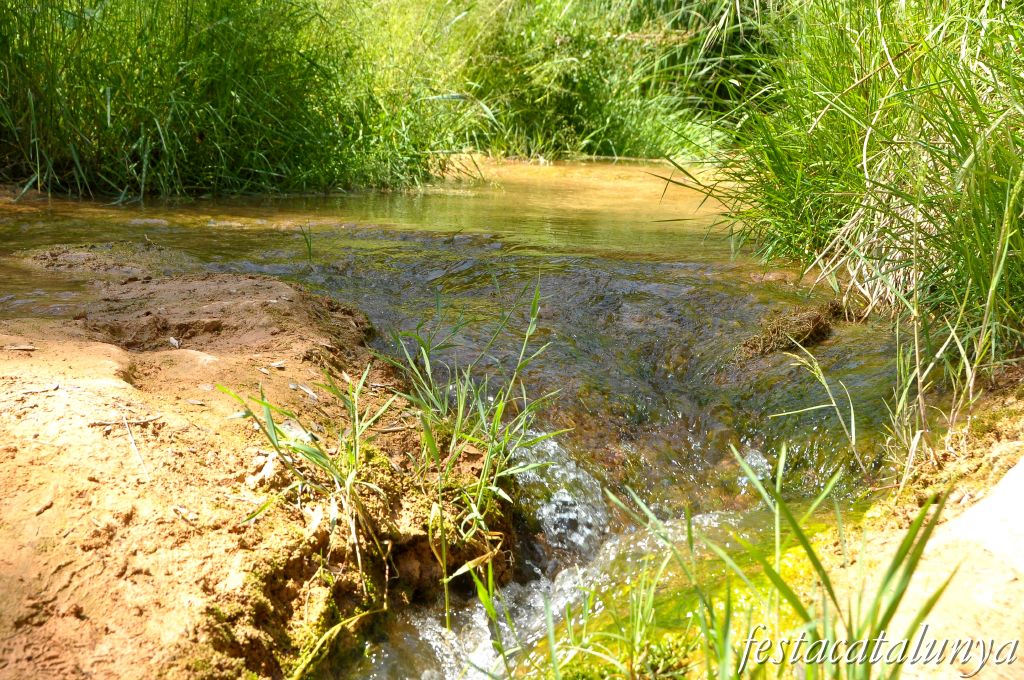 Orpí - Gorgs i pèlecs a la Riera de Carme