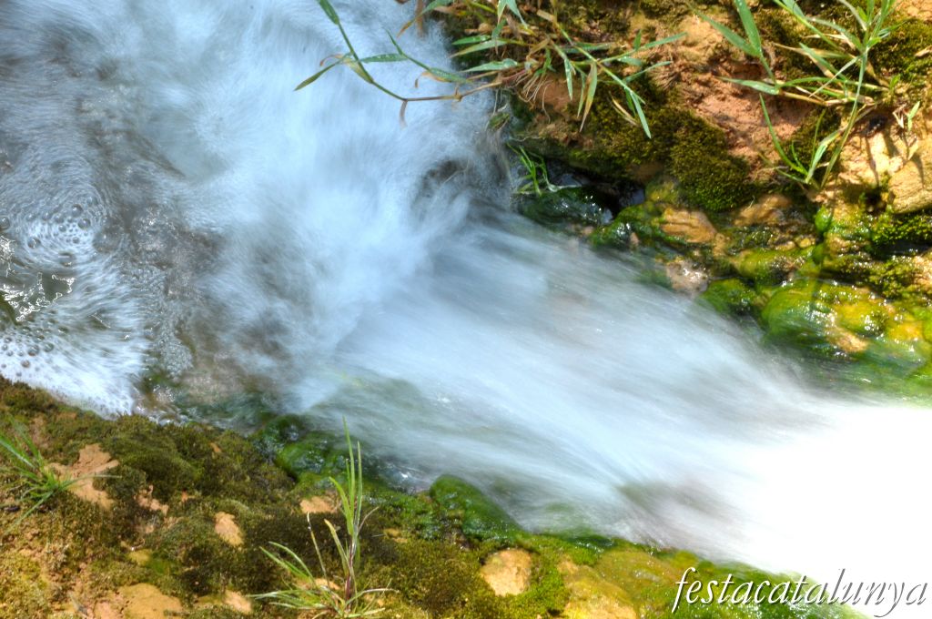 Orpí - Gorgs i pèlecs a la Riera de Carme