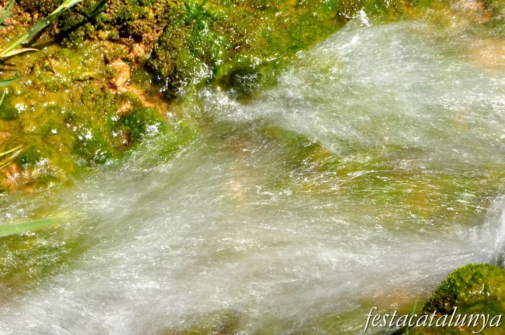 Orpí - Gorgs i pèlecs a la Riera de Carme
