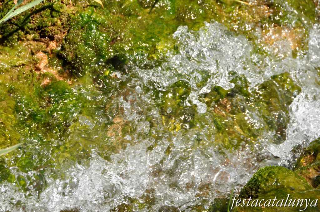Orpí - Gorgs i pèlecs a la Riera de Carme