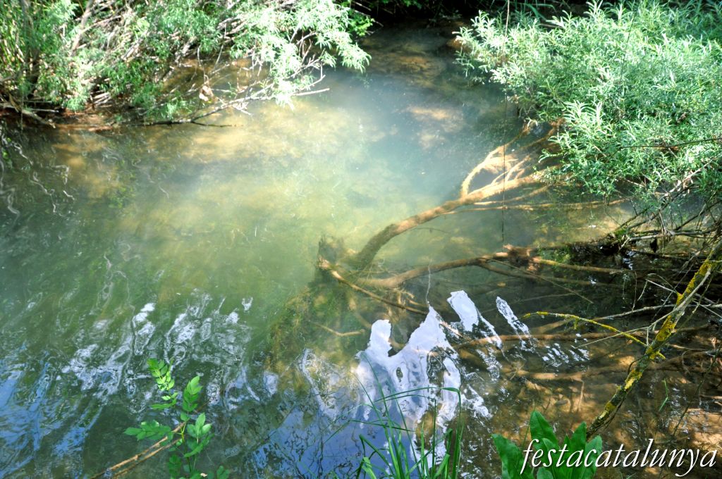 Orpí - Gorgs i pèlecs a la Riera de Carme