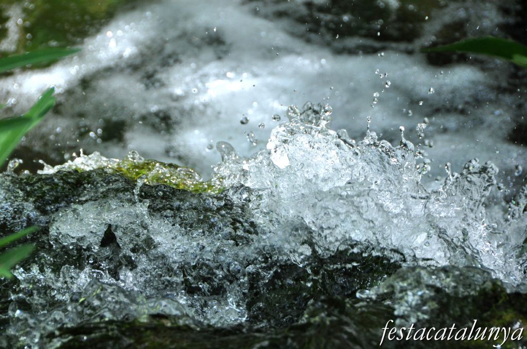 Orpí - Gorgs i pèlecs a la Riera de Carme