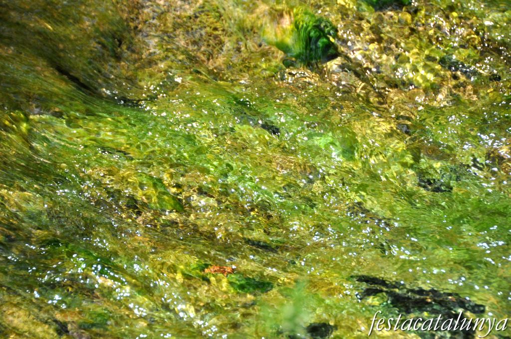 Orpí - Gorgs i pèlecs a la Riera de Carme