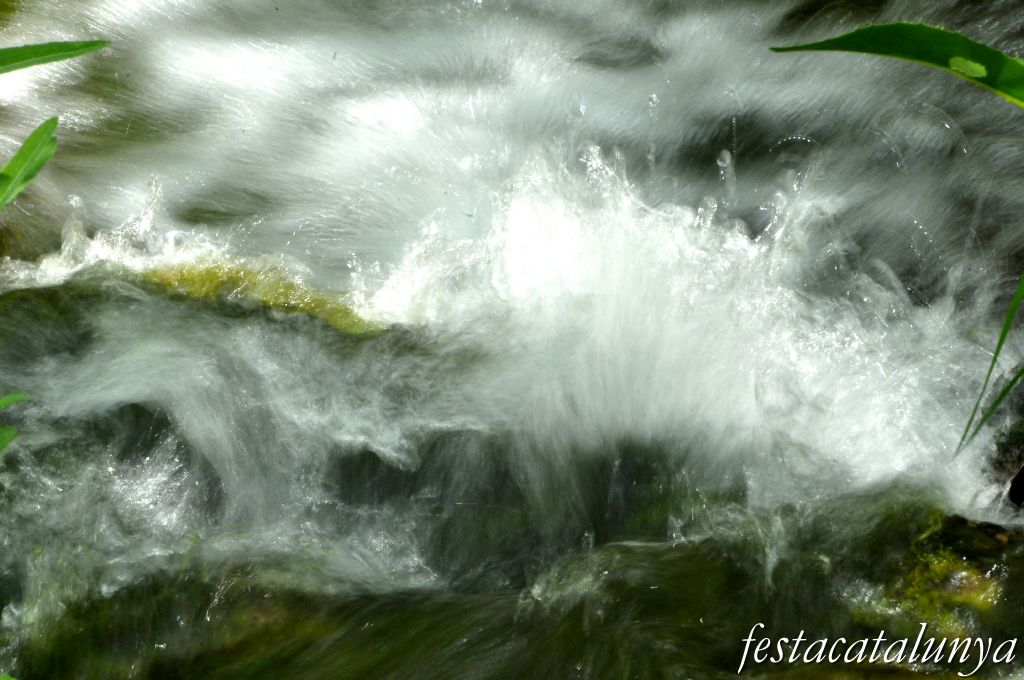 Orpí - Gorgs i pèlecs a la Riera de Carme