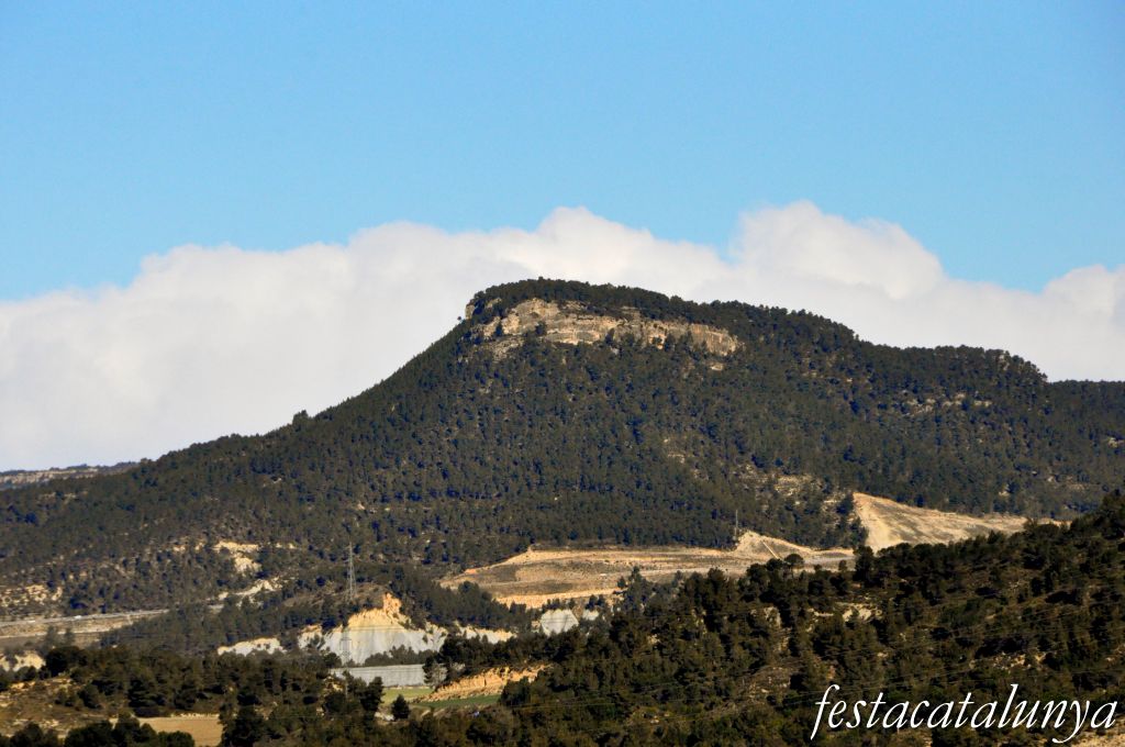 Pobla de Claramunt, La - Vistes panoràmiques