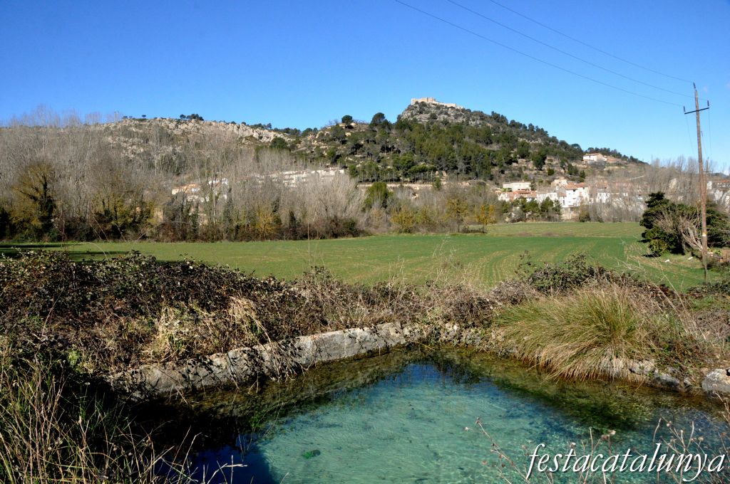 Pobla de Claramunt, La - Castell de Claramunt