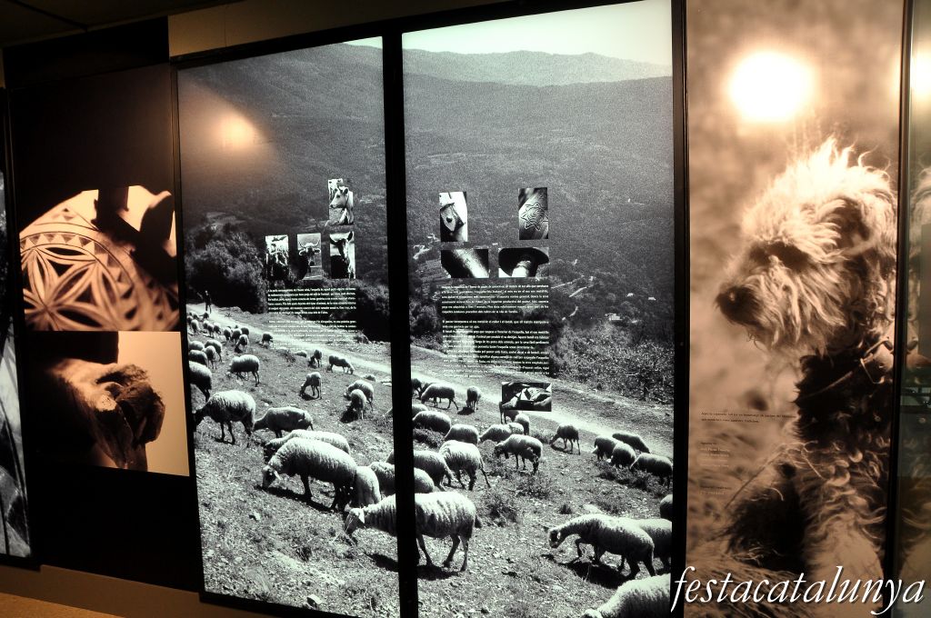 Les Esquelles d'en Jaume