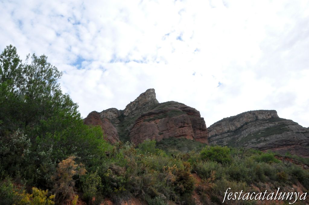 Bigues i Riells - Cingles i entorn natural de Riells del Fai