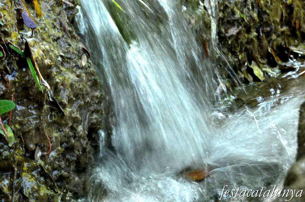 A Sant Miquel del Fai, l'aigua gota a gota ***