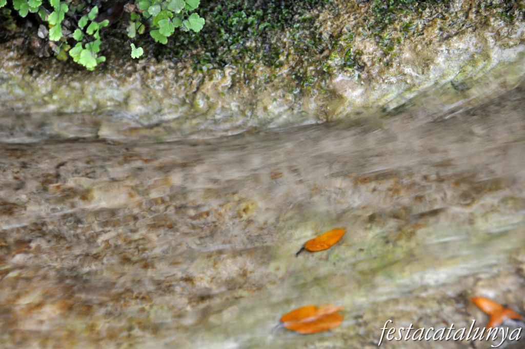 Bigues i Riells - L'Aigua gota a gota (Sant Miquel del Fai)