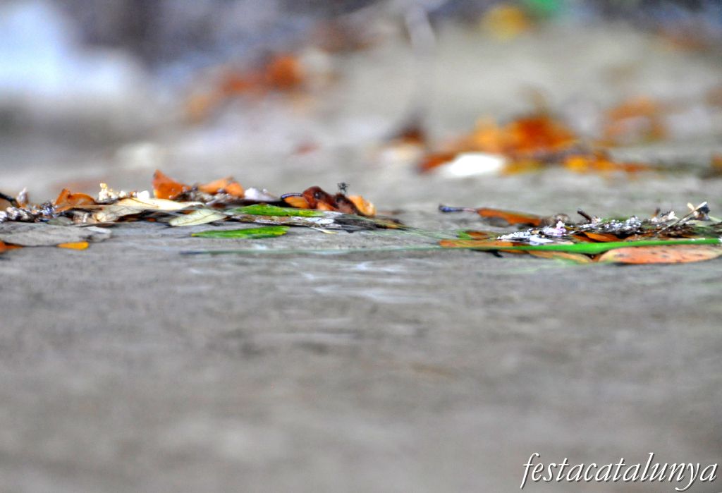 Bigues i Riells - L'Aigua gota a gota (Sant Miquel del Fai)