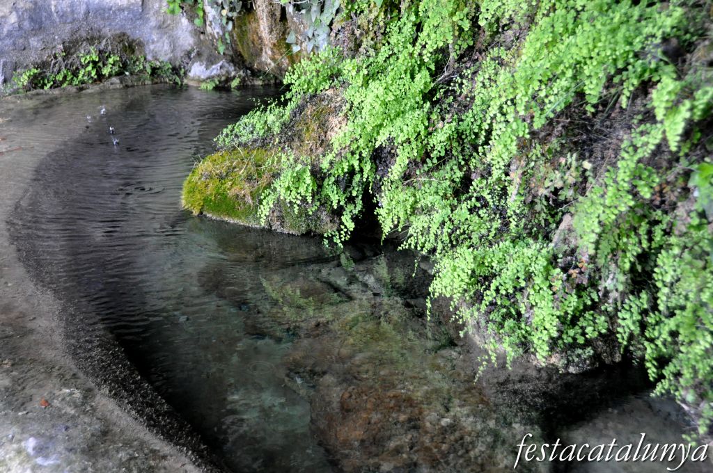 Bigues i Riells - L'Aigua gota a gota (Sant Miquel del Fai)