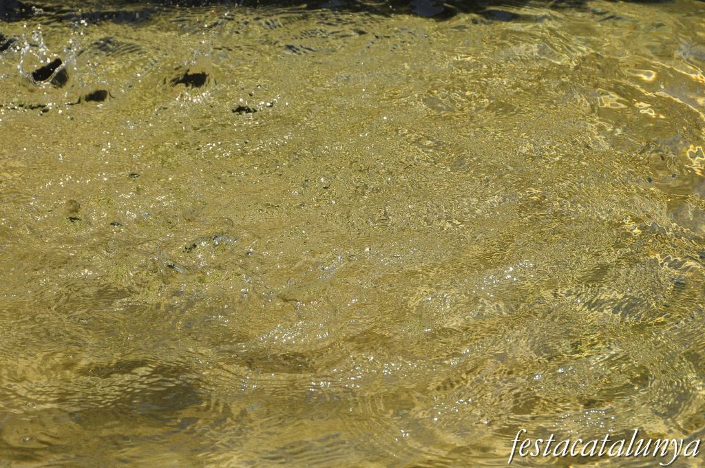Bigues i Riells - L'Aigua gota a gota (Sant Miquel del Fai)