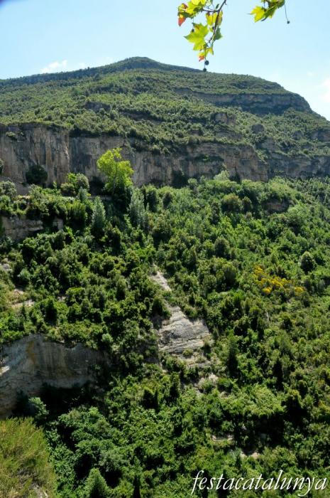 Bigues i Riells - Vistes sobre la vall del Tenes (Sant Miquel del Fai)