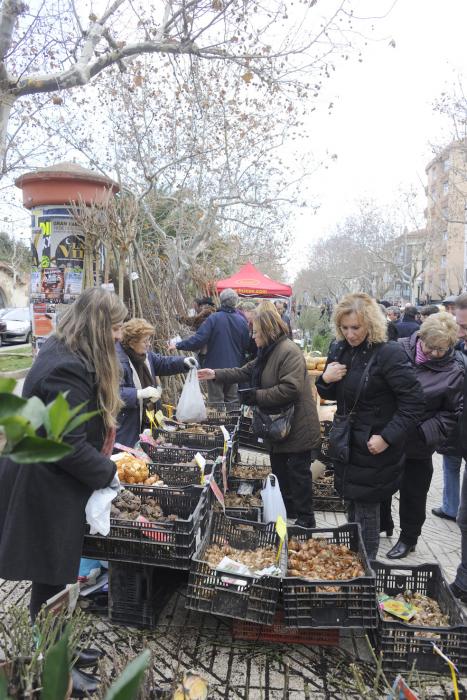 Fira de Reis d'Igualada