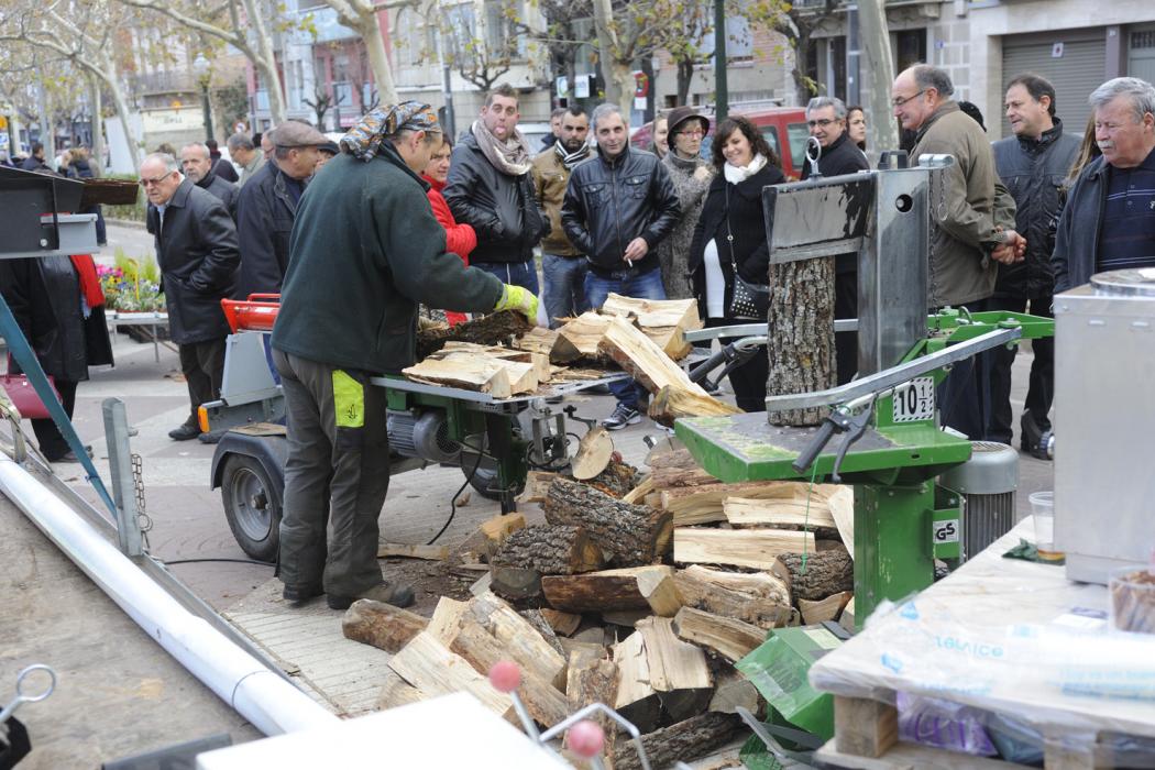 Fira de Reis d'Igualada