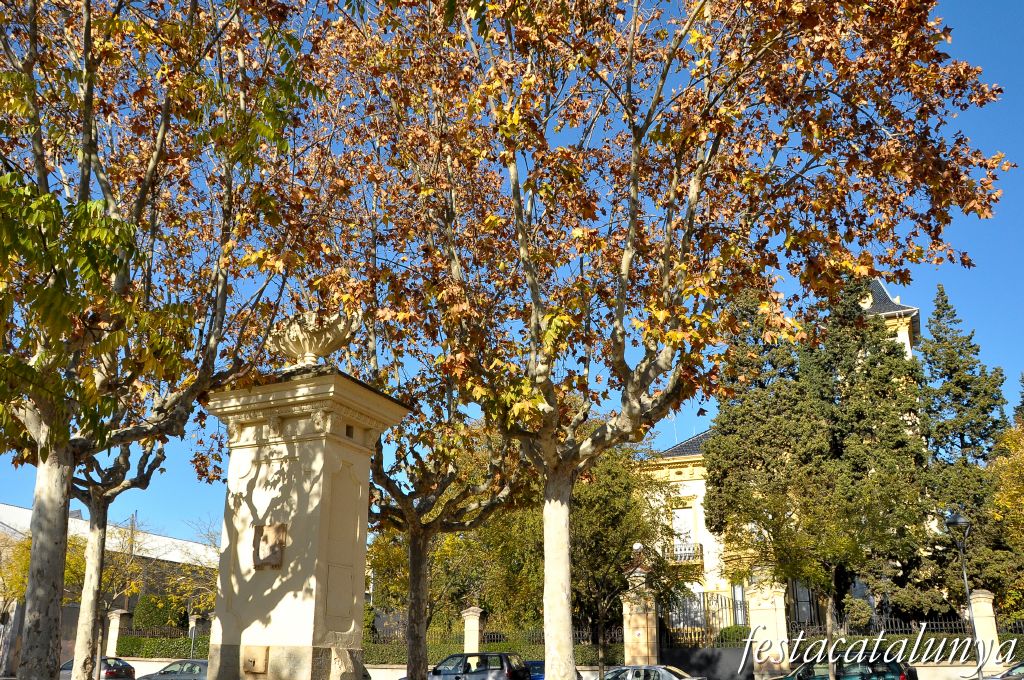 Cardedeu - Font Plaça Amat
