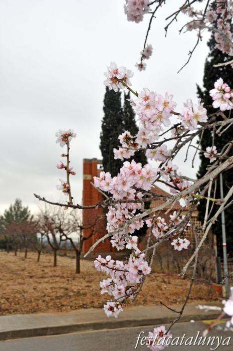 Piera - Sant Sebastià del Bedorc