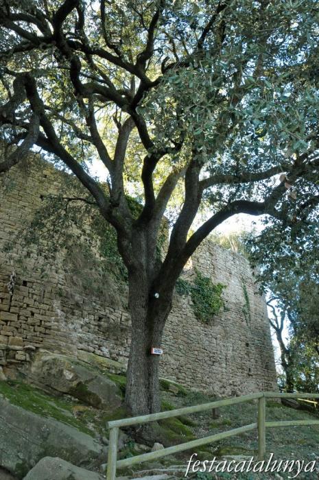 Castellterçol - Castell de Castellterçol