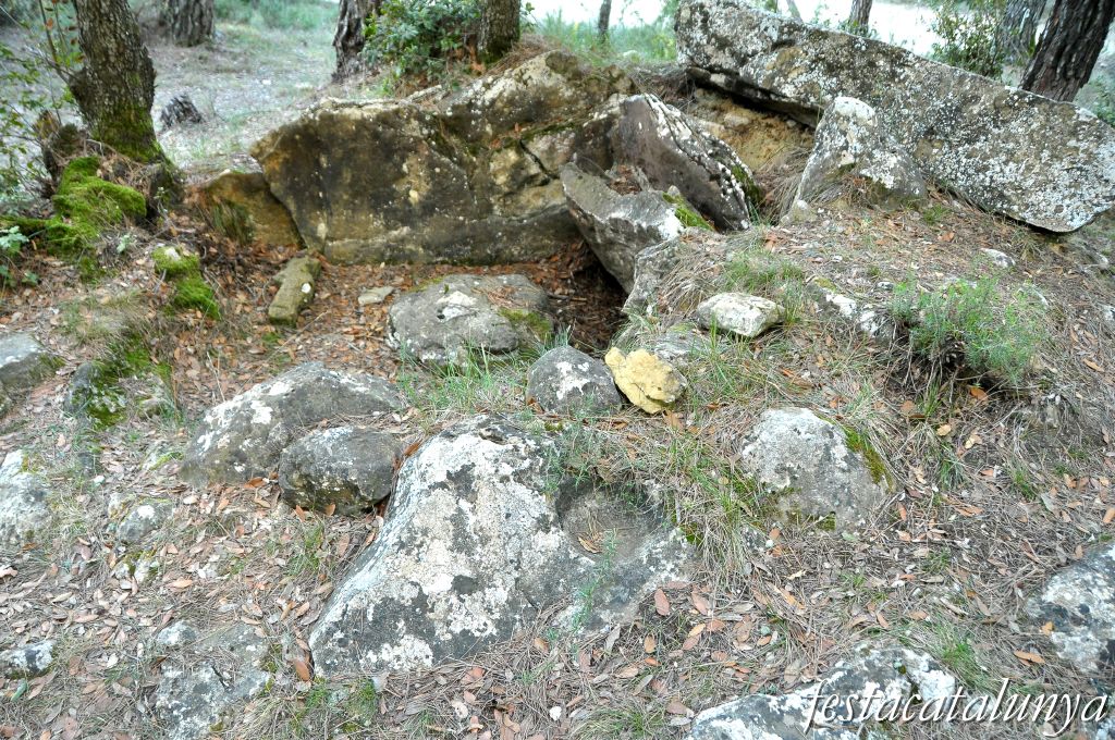 Castellterçol - Dolmen de Criac
