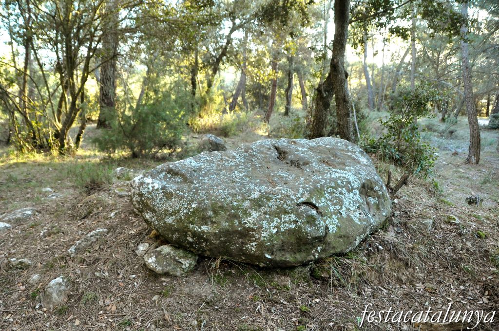 Castellterçol - Dolmen de Criac