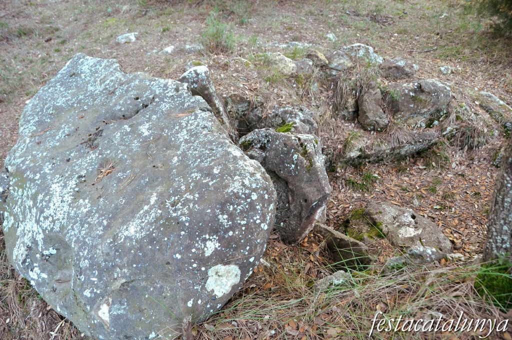 Castellterçol - Dolmen de Criac
