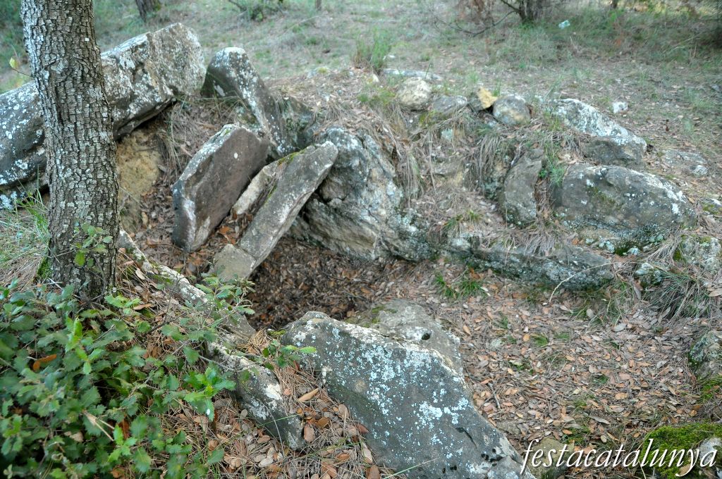 Castellterçol - Dolmen de Criac