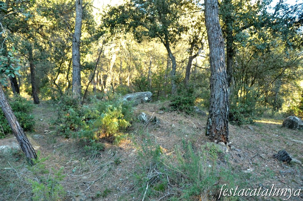 Castellterçol - Dolmen de Criac