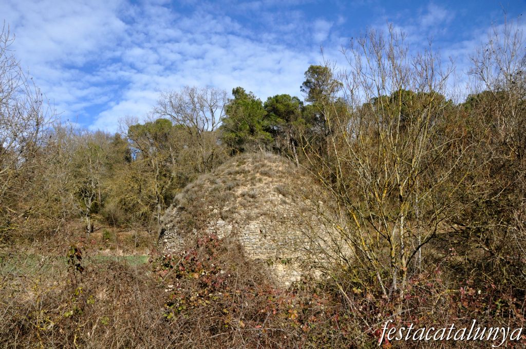 Castellterçol - Poua de glaç de cal Revitllat