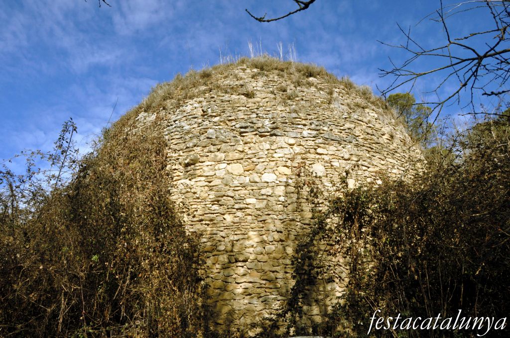 Castellterçol - Poua de glaç de cal Revitllat