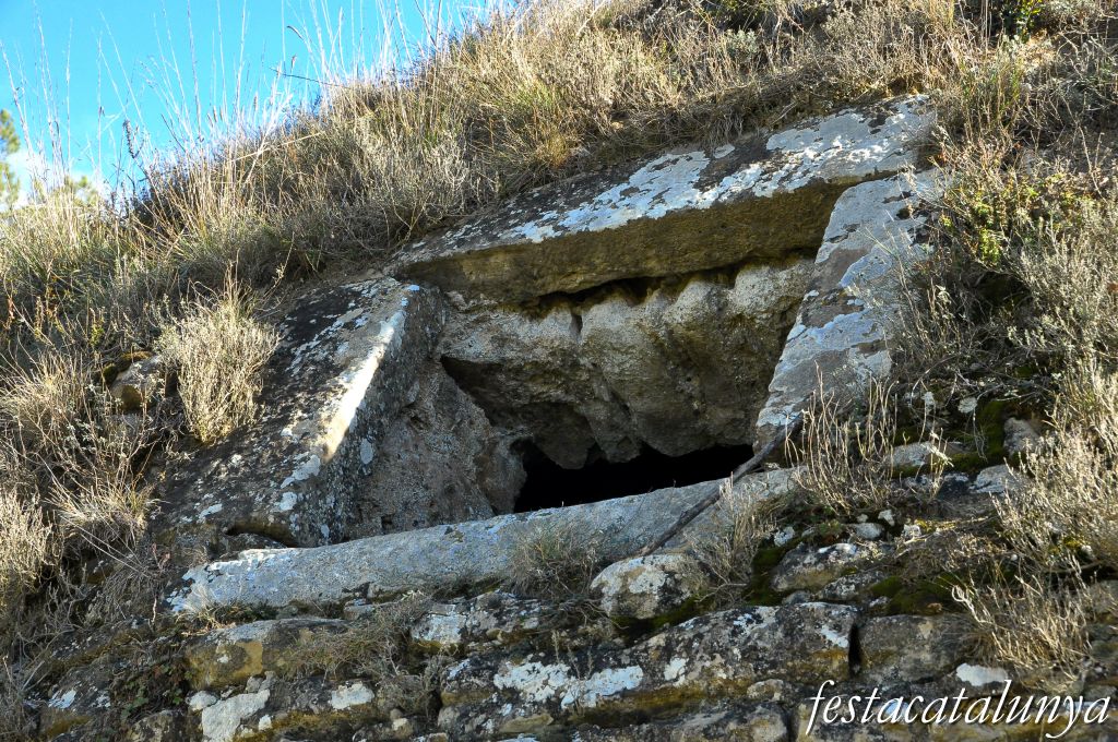 Castellterçol - Poua de glaç de cal Revitllat