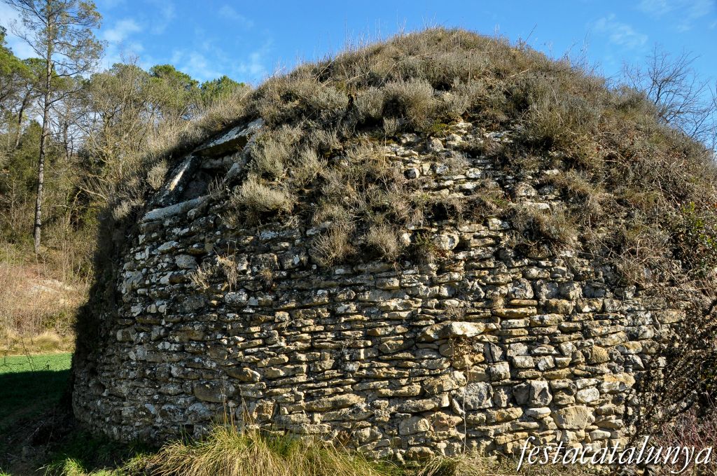 Castellterçol - Poua de glaç de cal Revitllat