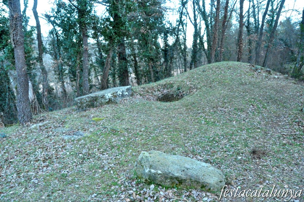 Castellterçol - Poues de glaç de la Ginebreda