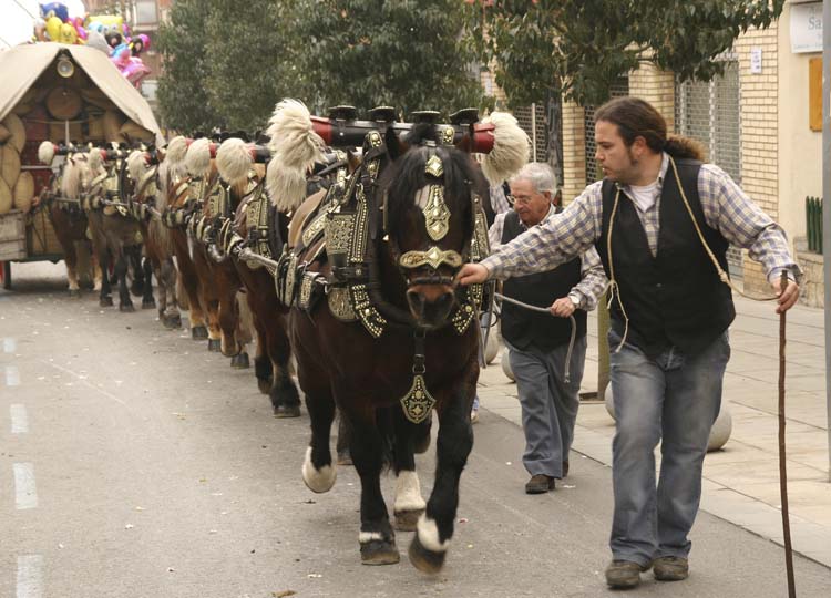 Passada de Sant Antoni Abat a Sant Quirze del Vallès