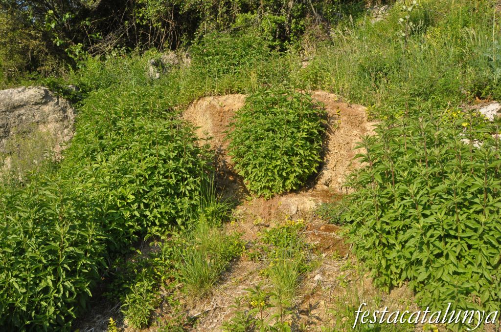Aiguafreda - Sant Martí del Congost, Mines d'aigua
