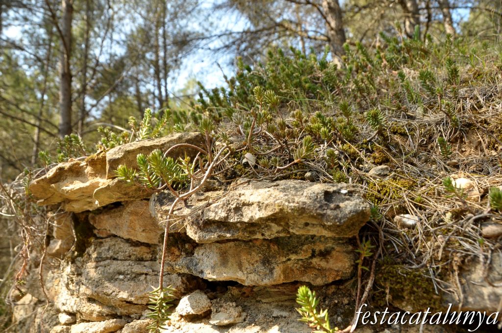 Castellolí - Barraques de pedra seca - Barraca del Rei Gran