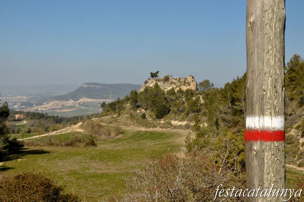 Castell de Castellolí