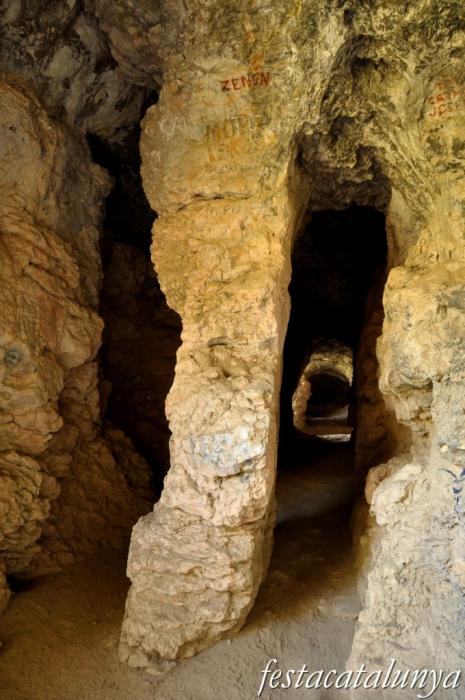 Castellolí - Coves de Can Llucià i de la Font del Ferro