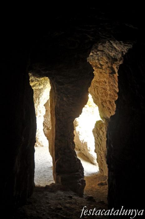 Castellolí - Coves de Can Llucià i de la Font del Ferro